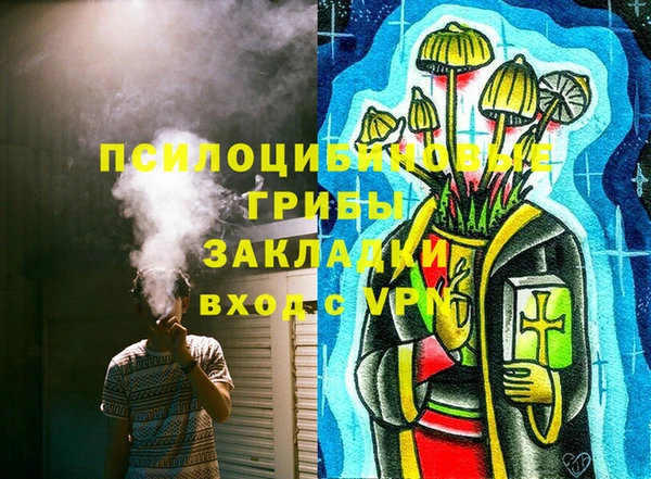 гидропоника Ладушкин
